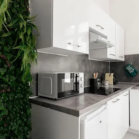 Charmant Studio Arboré Et Climatisé Appartement Carcassonne