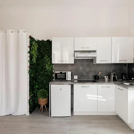 Charmant Studio Arboré Et Climatisé *