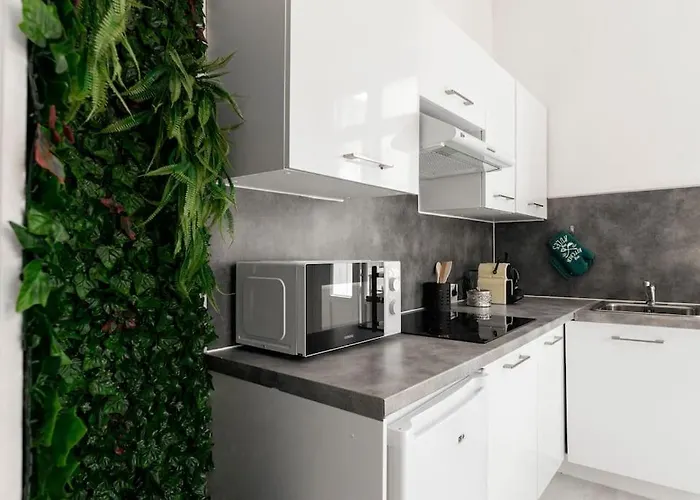 Arbore Et Climatise Apartment Carcassonne