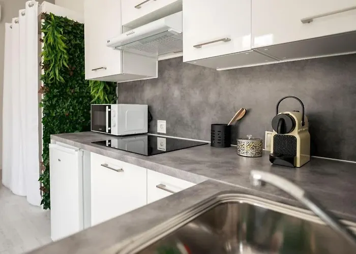 Arbore Et Climatise Apartment *